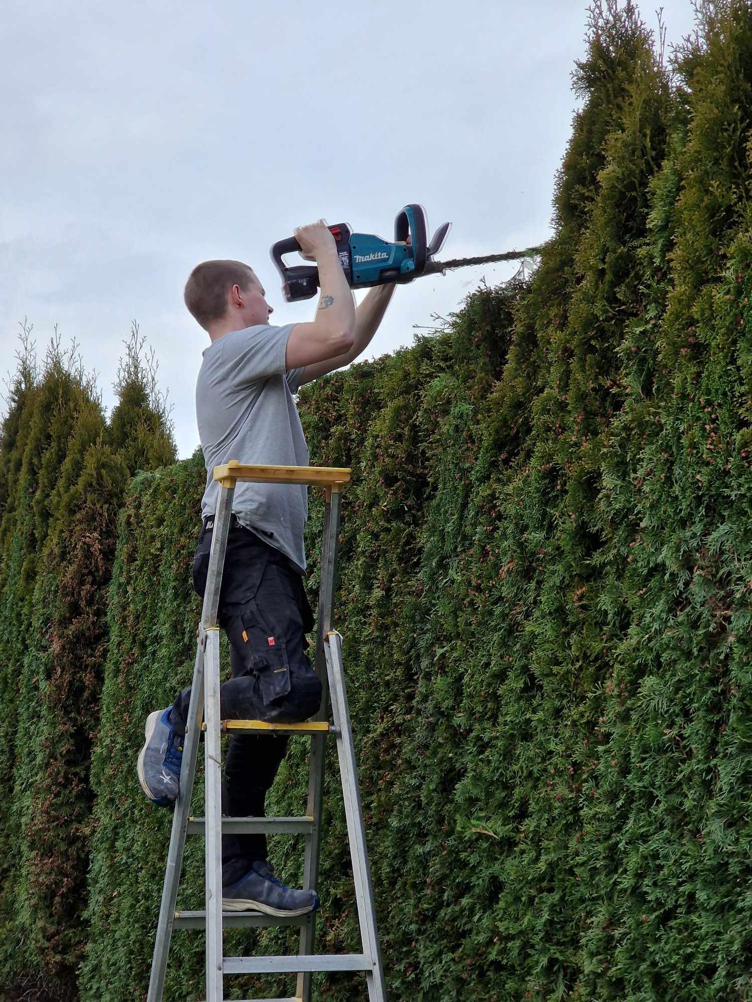 Teodor Li Rollefsen som trimmer hekk